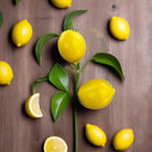Shop For 13" Lemon Leaf Spray at Michelle's aDOORable Creations