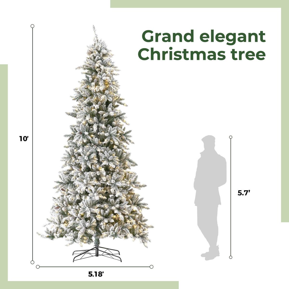 Shop For 10’ Flocked Livingston Fir Christmas Tree