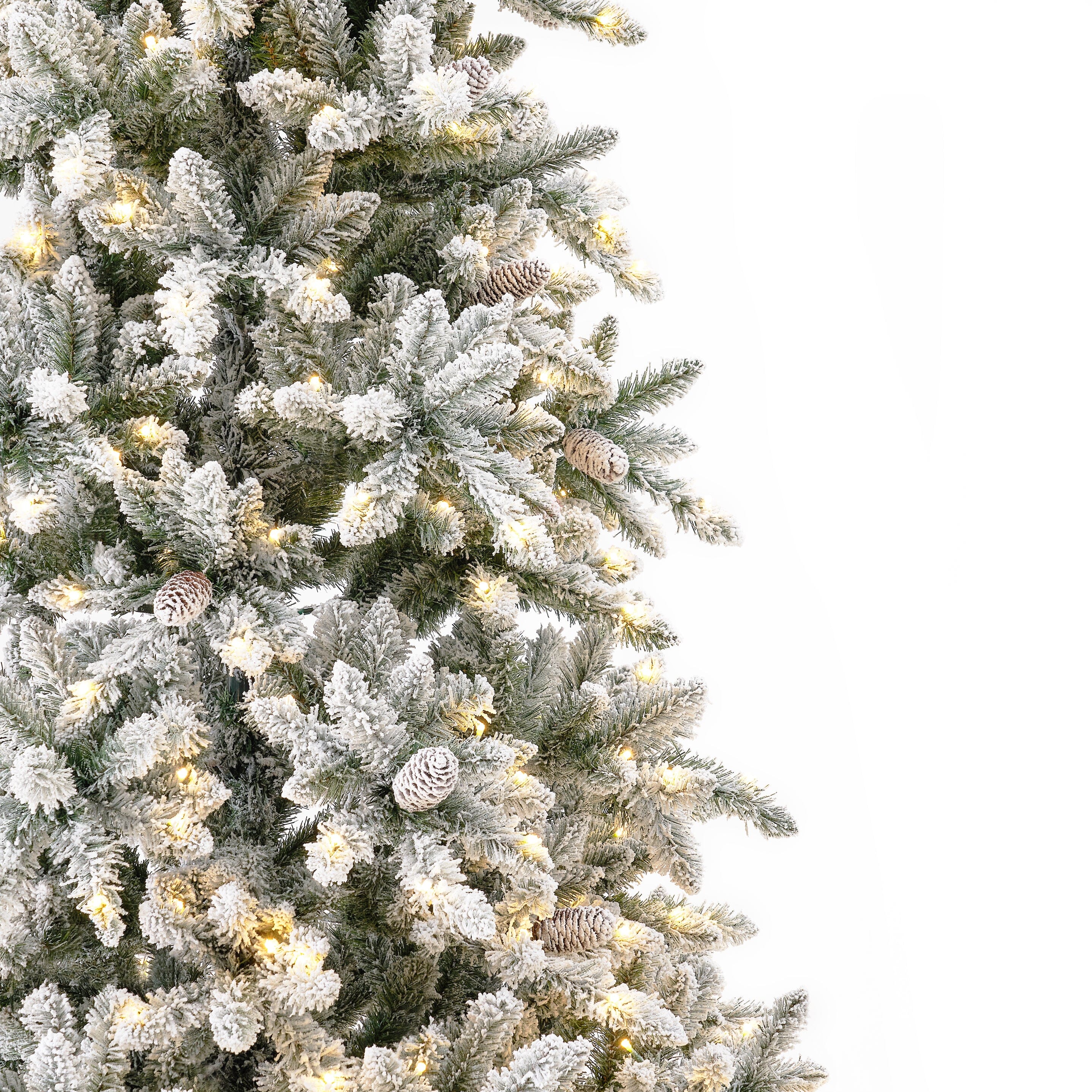 Shop For 10’ Flocked Livingston Fir Christmas Tree