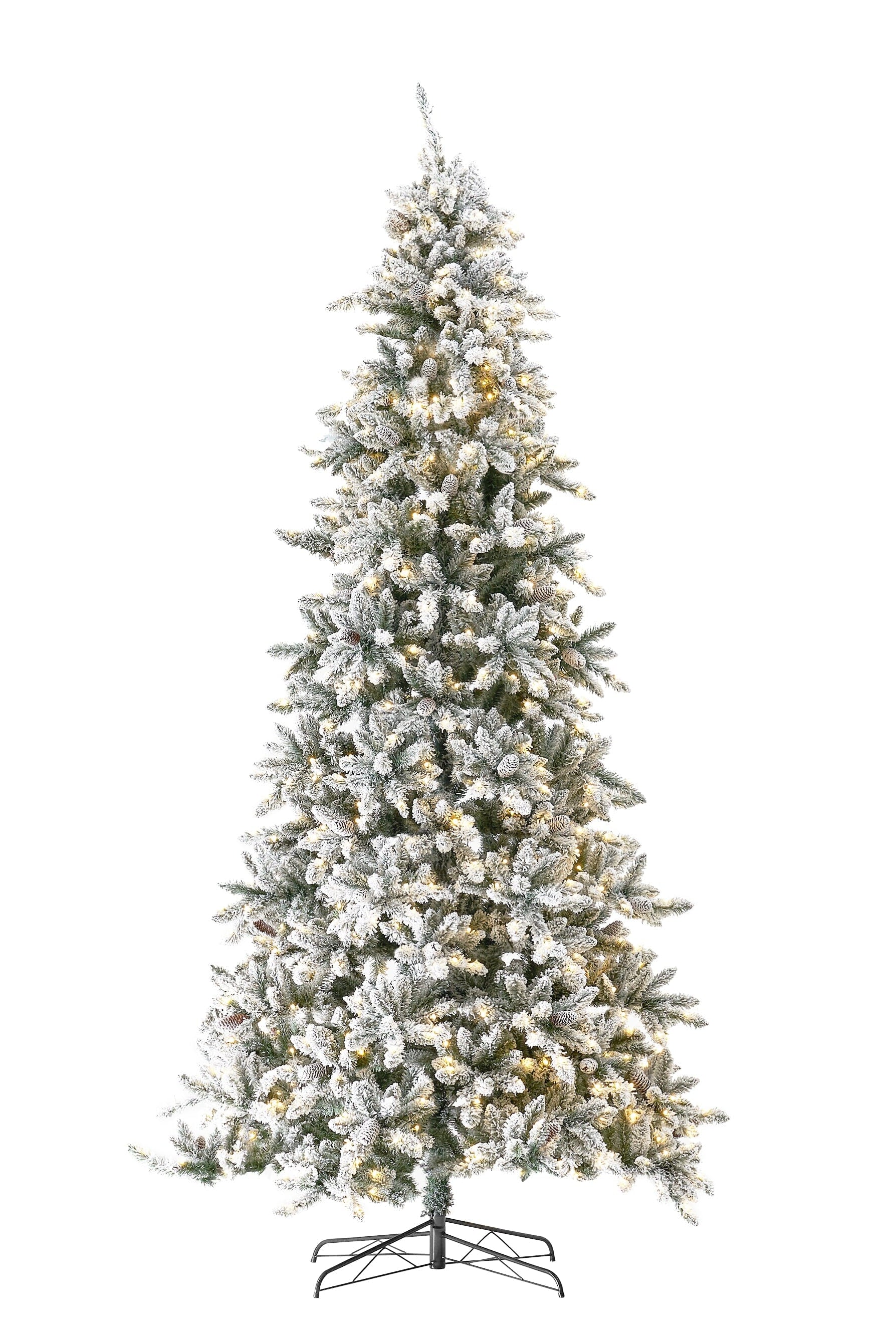 Shop For 10’ Flocked Livingston Fir Christmas Tree