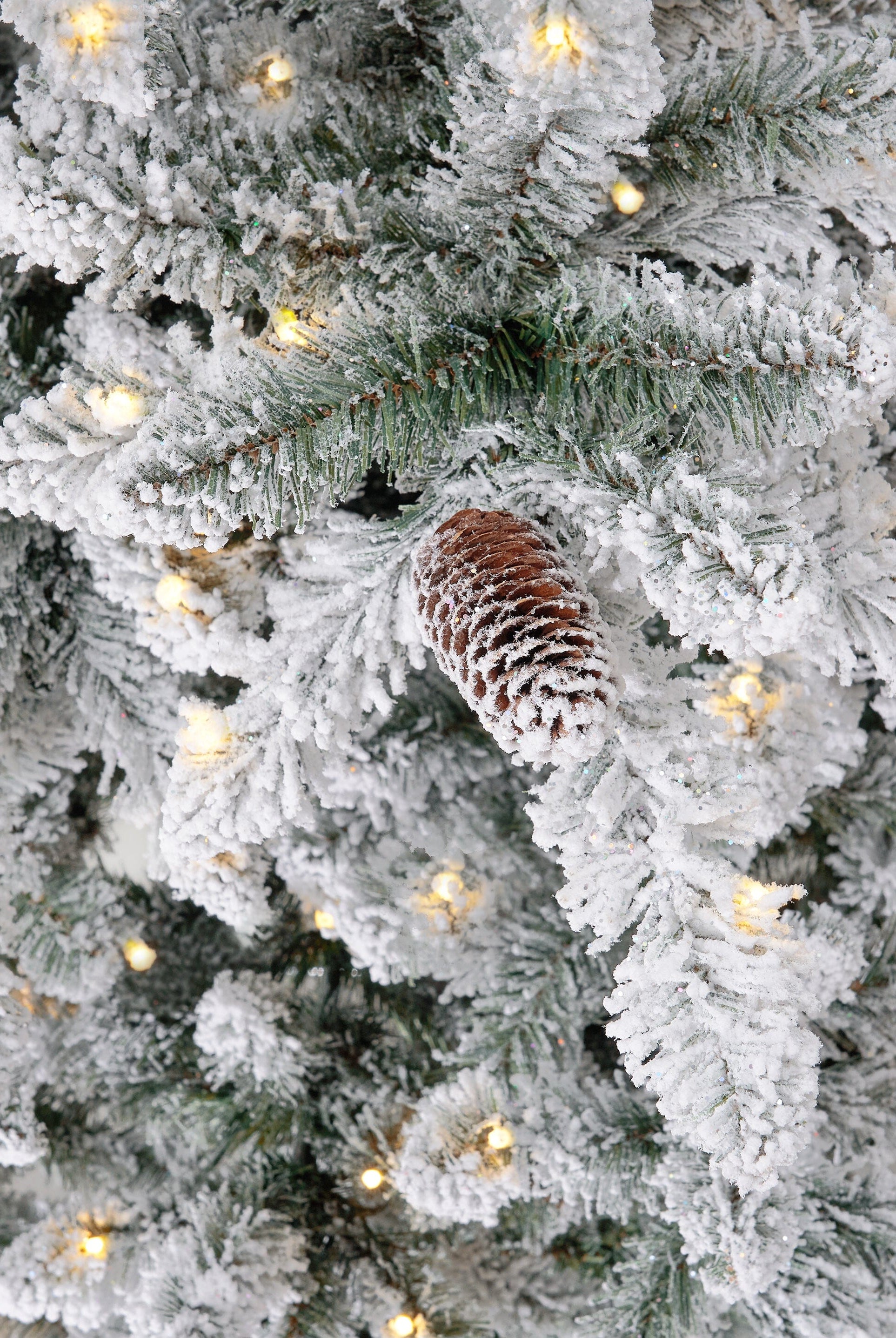 Shop For 10’ Flocked Livingston Fir Christmas Tree