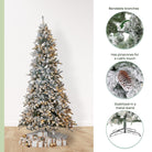 Shop For 10’ Flocked Livingston Fir Christmas Tree