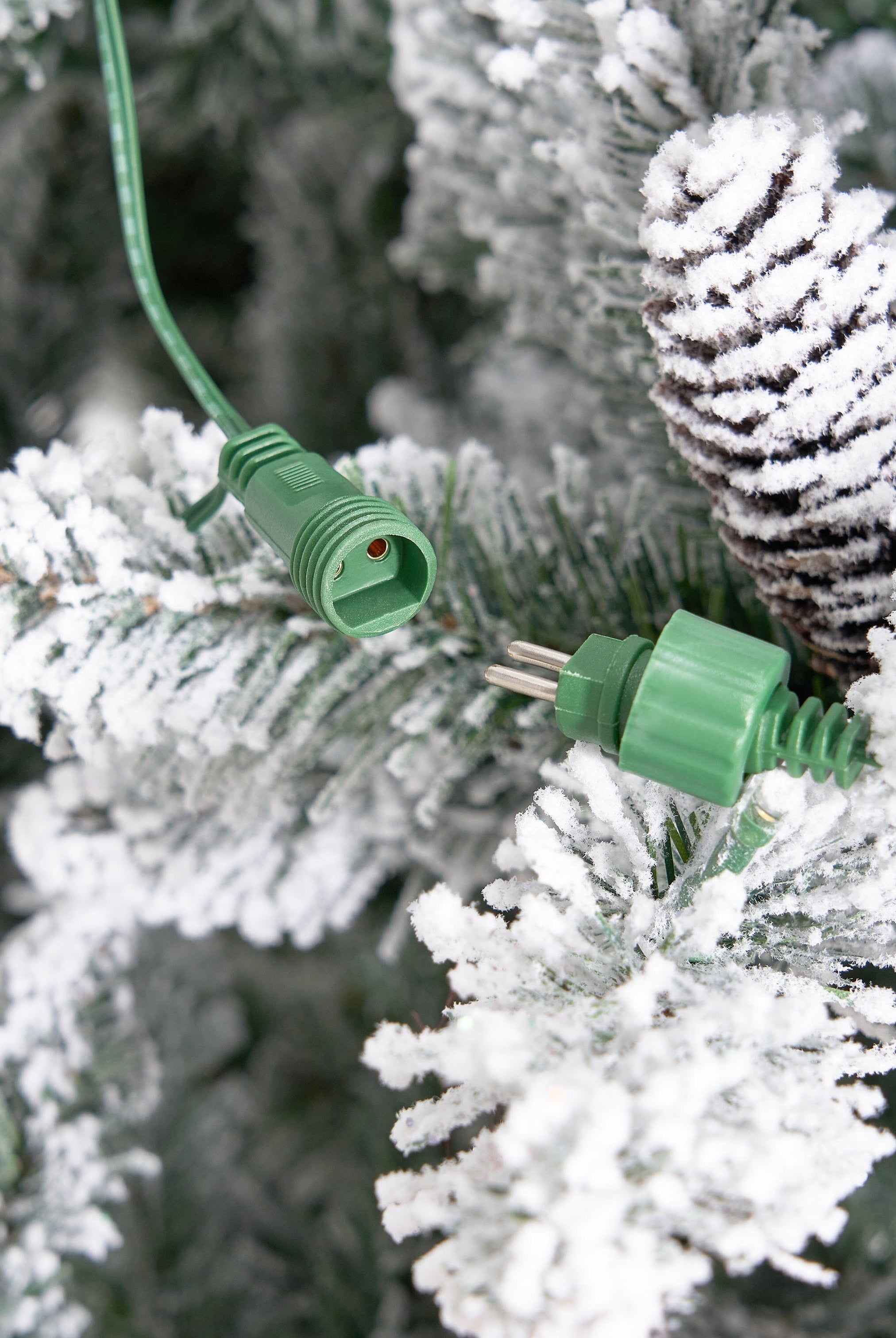 Shop For 10’ Flocked Livingston Fir Christmas Tree