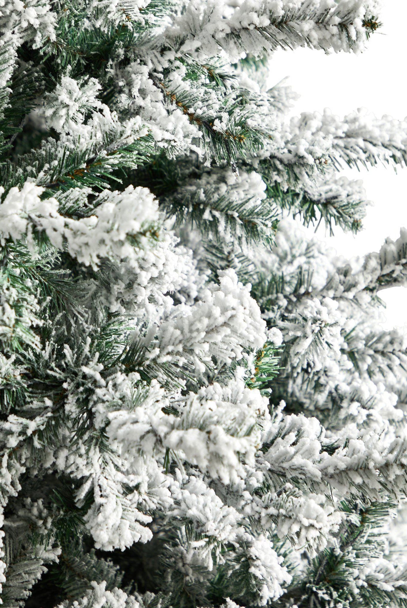 Shop For 10' Flocked Rock Springs Spruce Christmas Tree