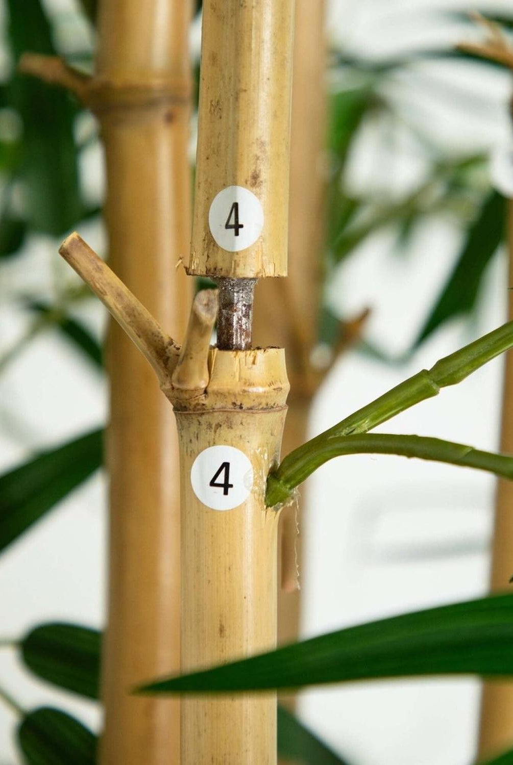 11’ Artificial Bamboo Tree with Real Bamboo Trunks