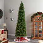 Shop For 11’ Slim Green Mountain Pine Christmas Tree