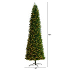 Shop For 11’ Slim Green Mountain Pine Christmas Tree