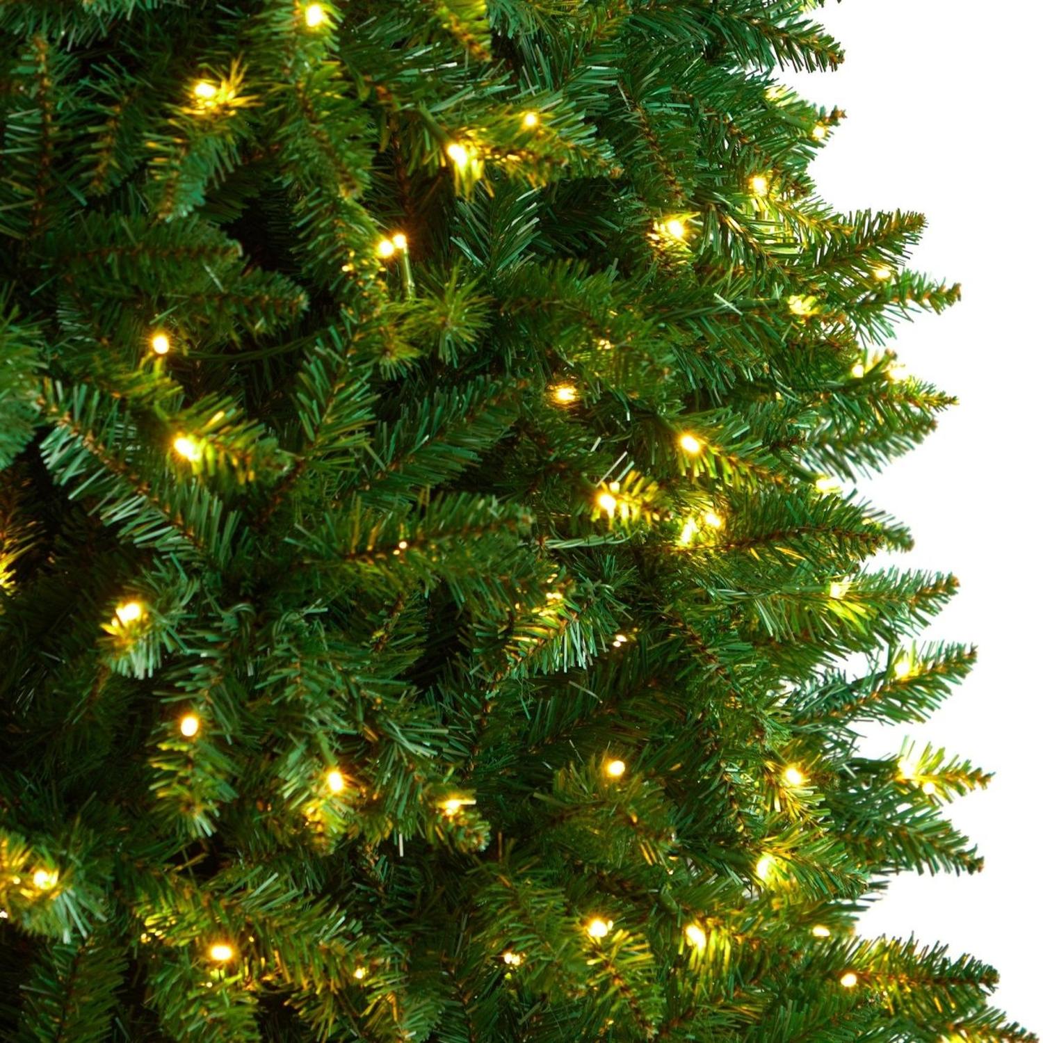 Shop For 11’ Slim Green Mountain Pine Christmas Tree