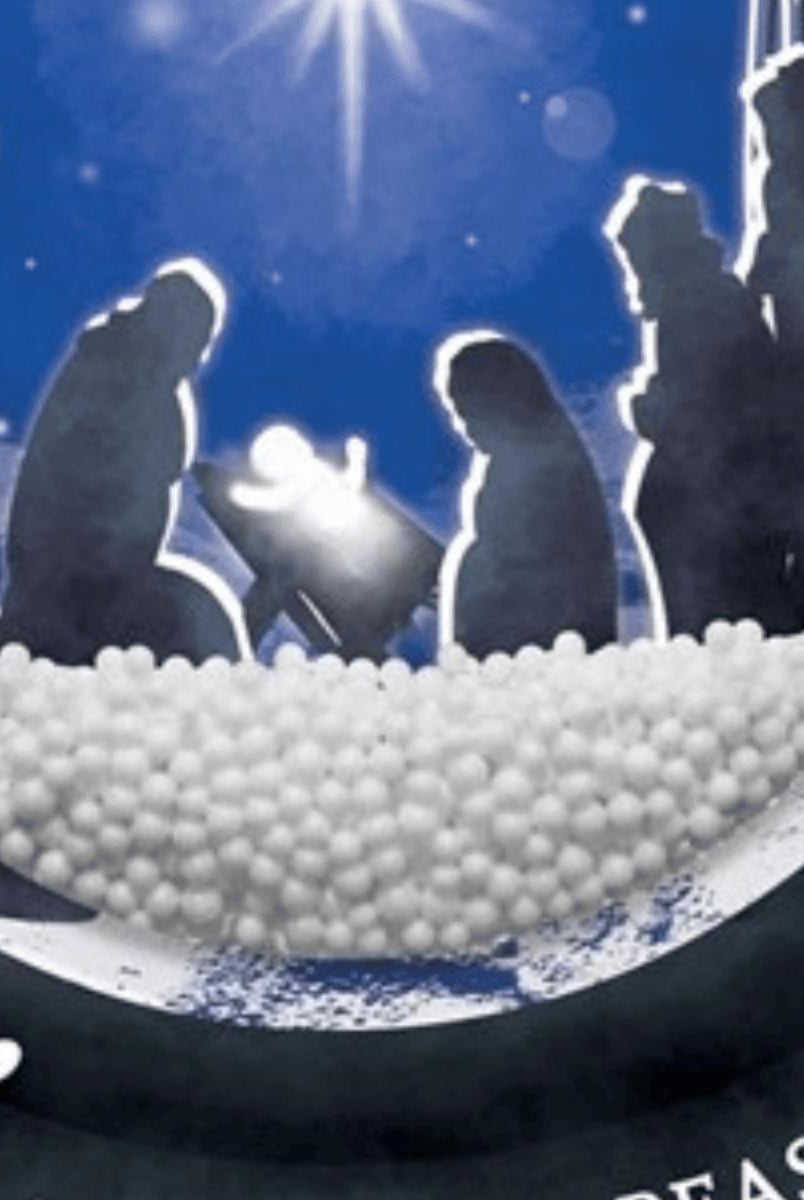 Shop For 12" Wooden Snow Globe Sign: Jesus Is The Reason