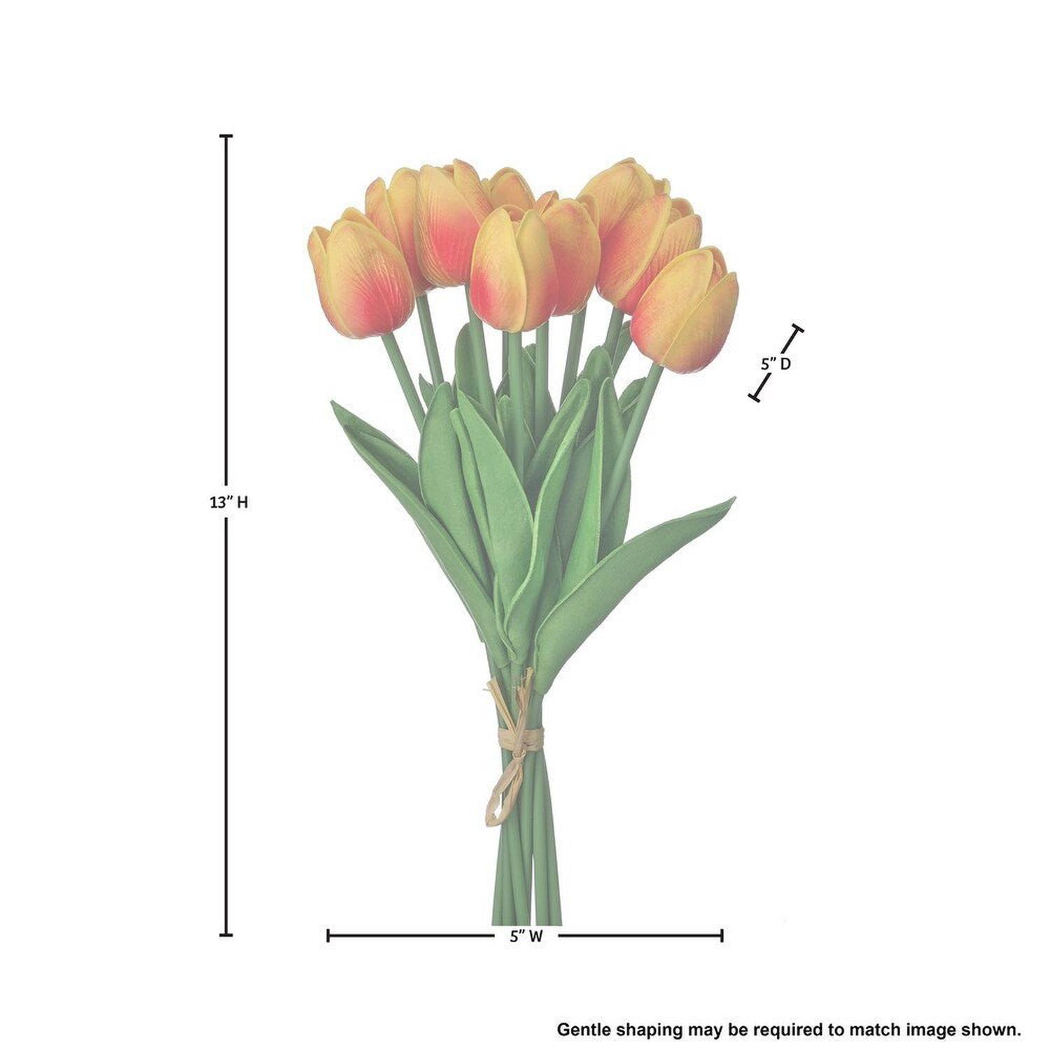Shop For 13" Eva Dutch Tulip Bundle: Orange
