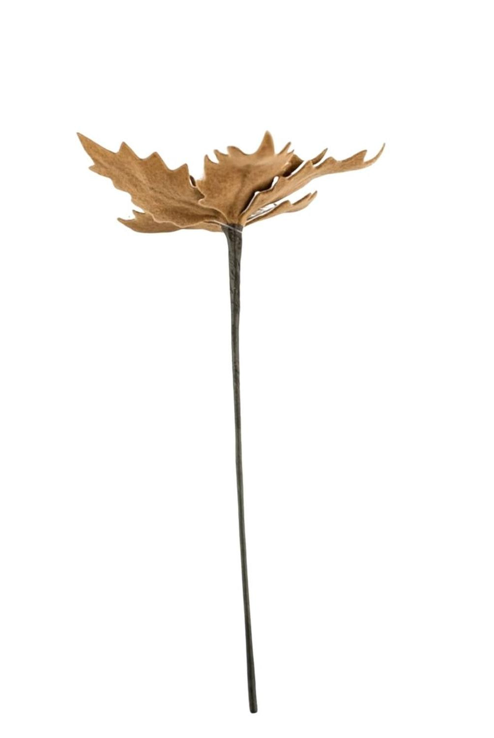 13" Gingerbread Poinsettia Pick