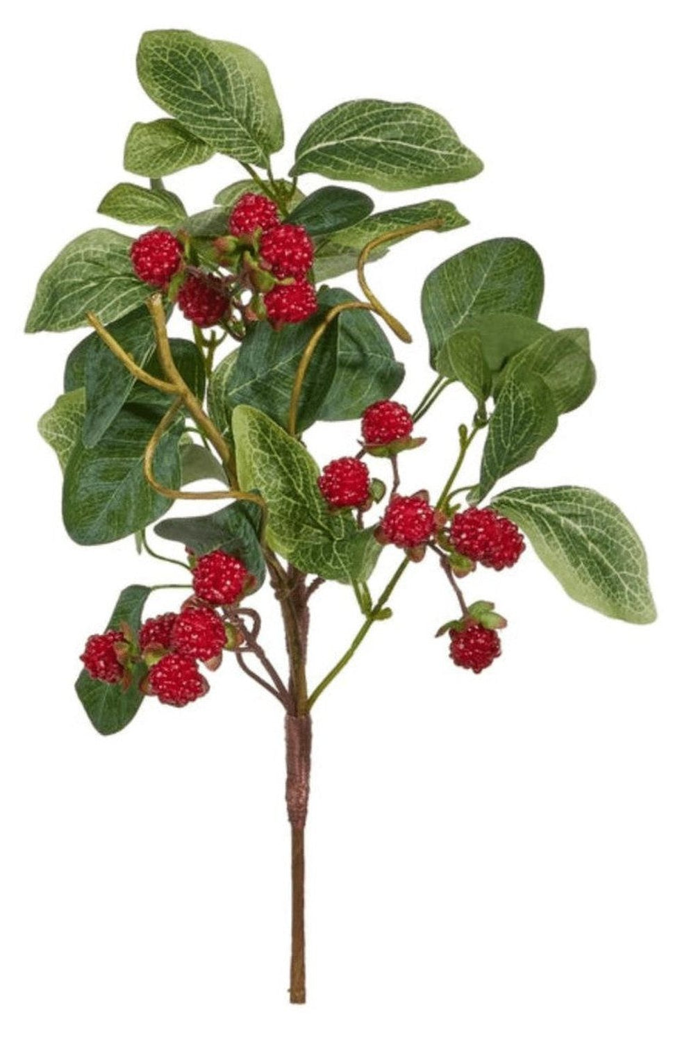 Shop For 16" Berry Pick