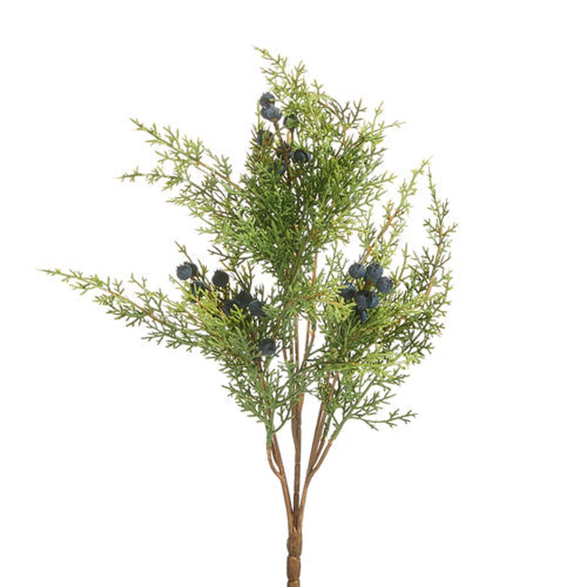 Shop For 17" Juniper with Berries Bundle