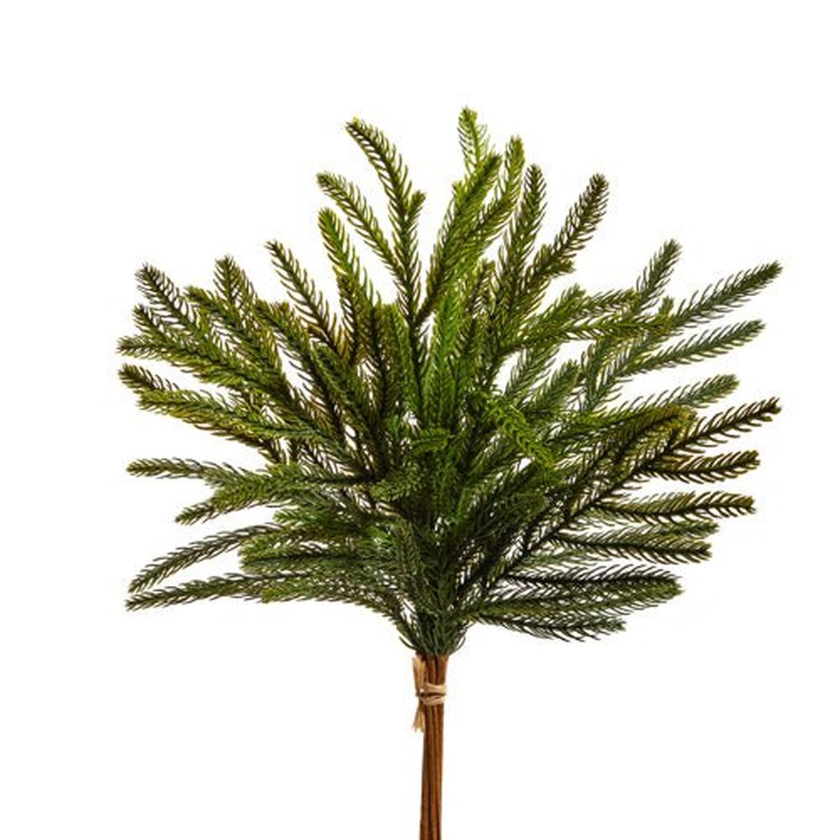 Shop For 18" Balsam Fir Bundle