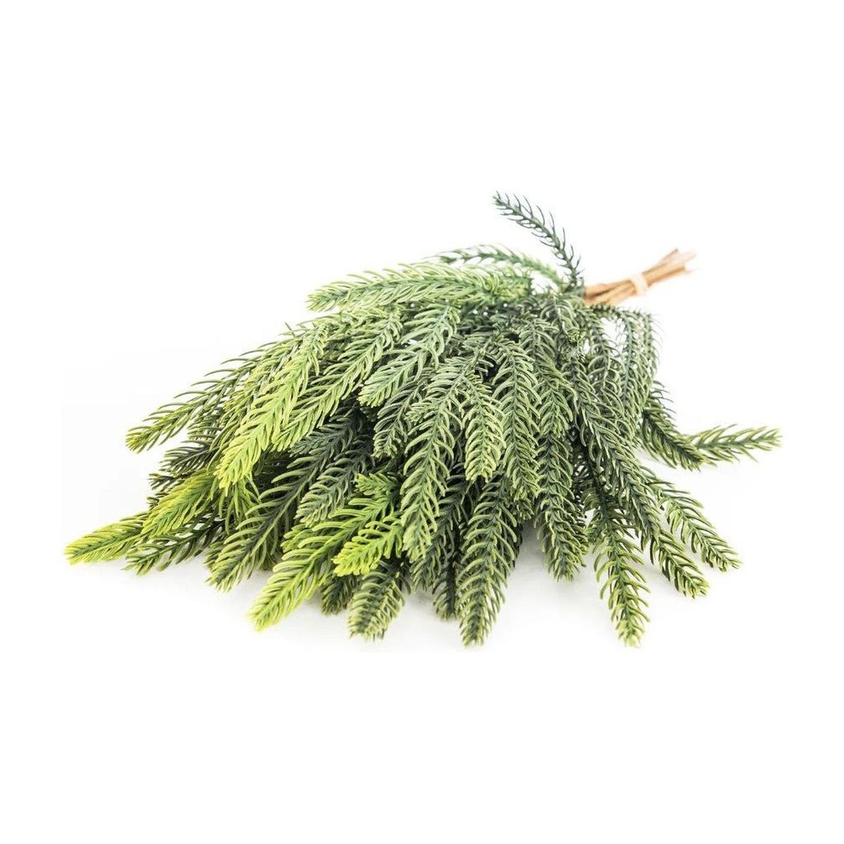 Shop For 18" Balsam Fir Bundle