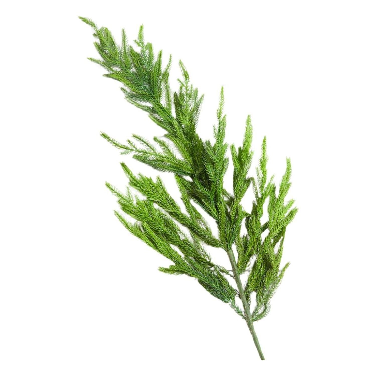 Shop For 18" Soft Touch Norfolk Pine Pick