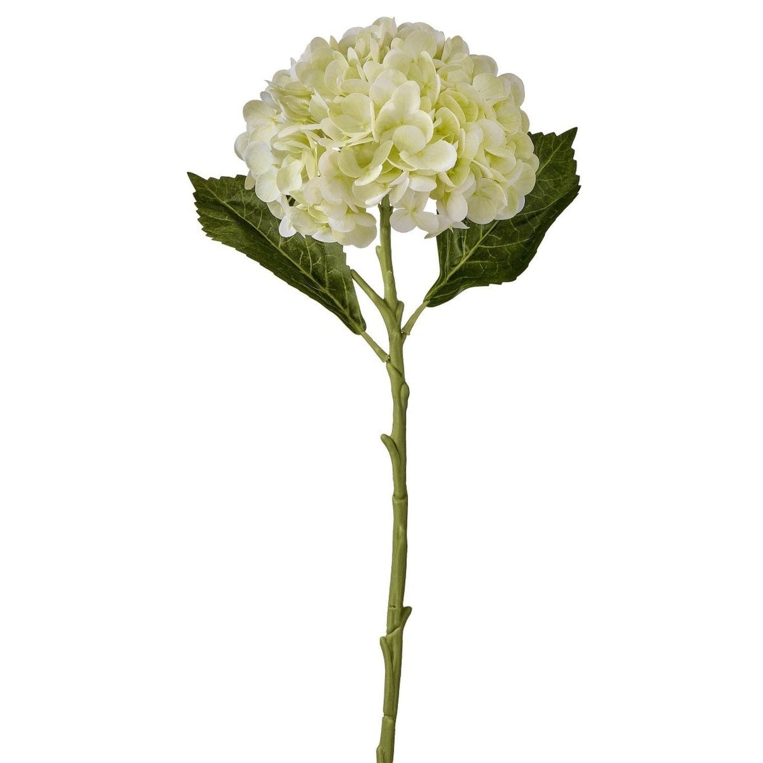 Shop For 18.5" Real Touch Hydrangea Stem: Cream