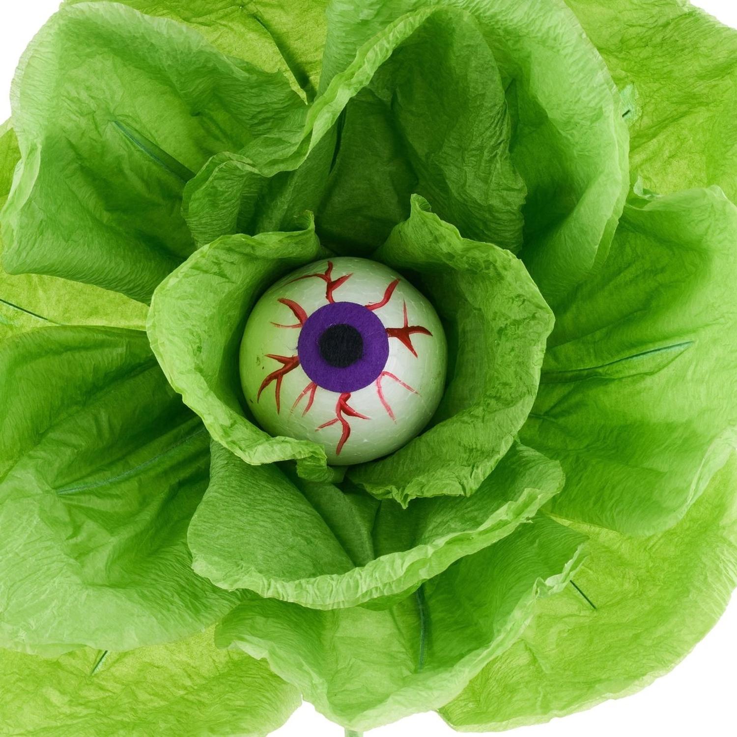 Shop For 19" Paper Rose Eyeball Stem: Green