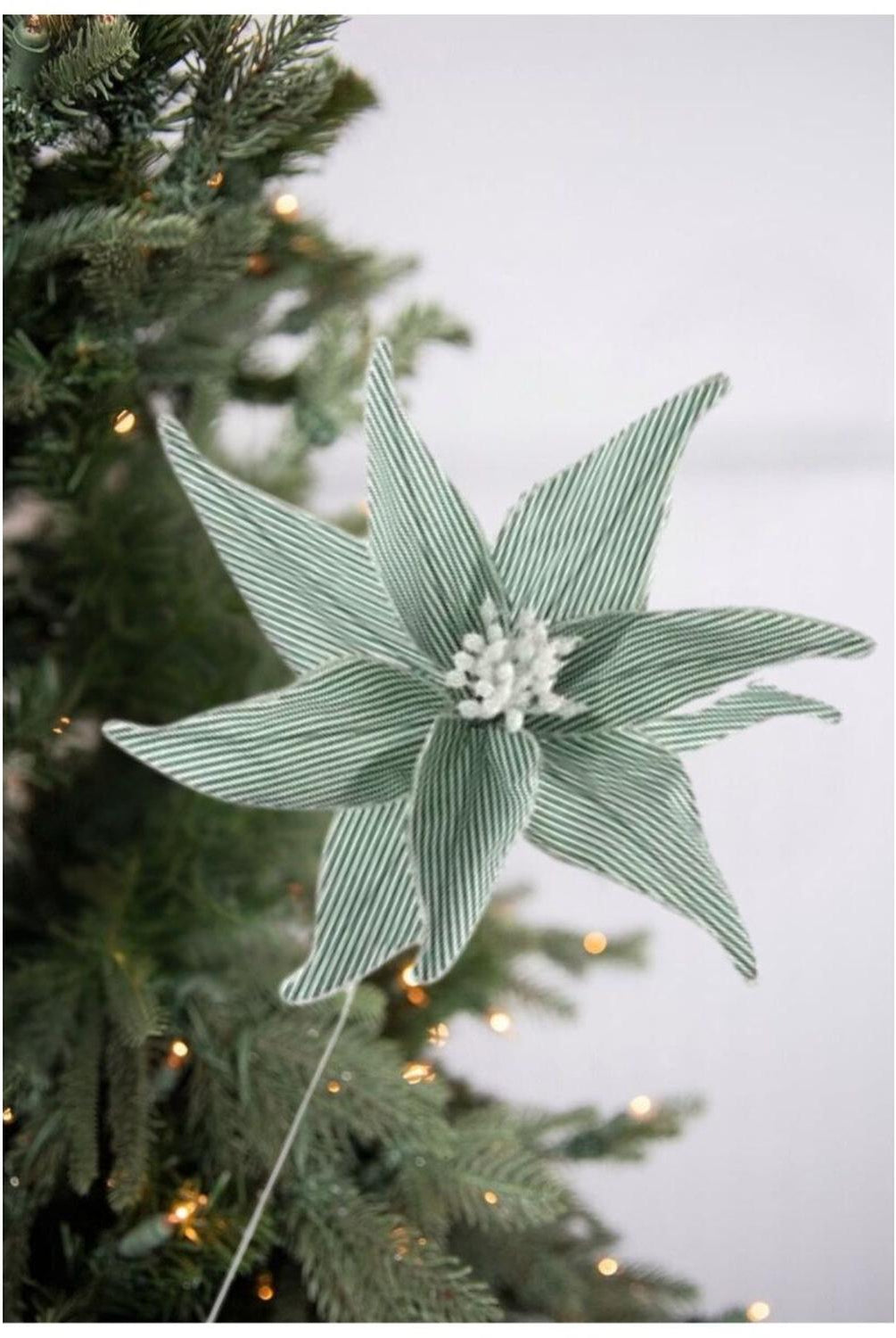 20" Canvas Striped Poinsettia: Dark Green