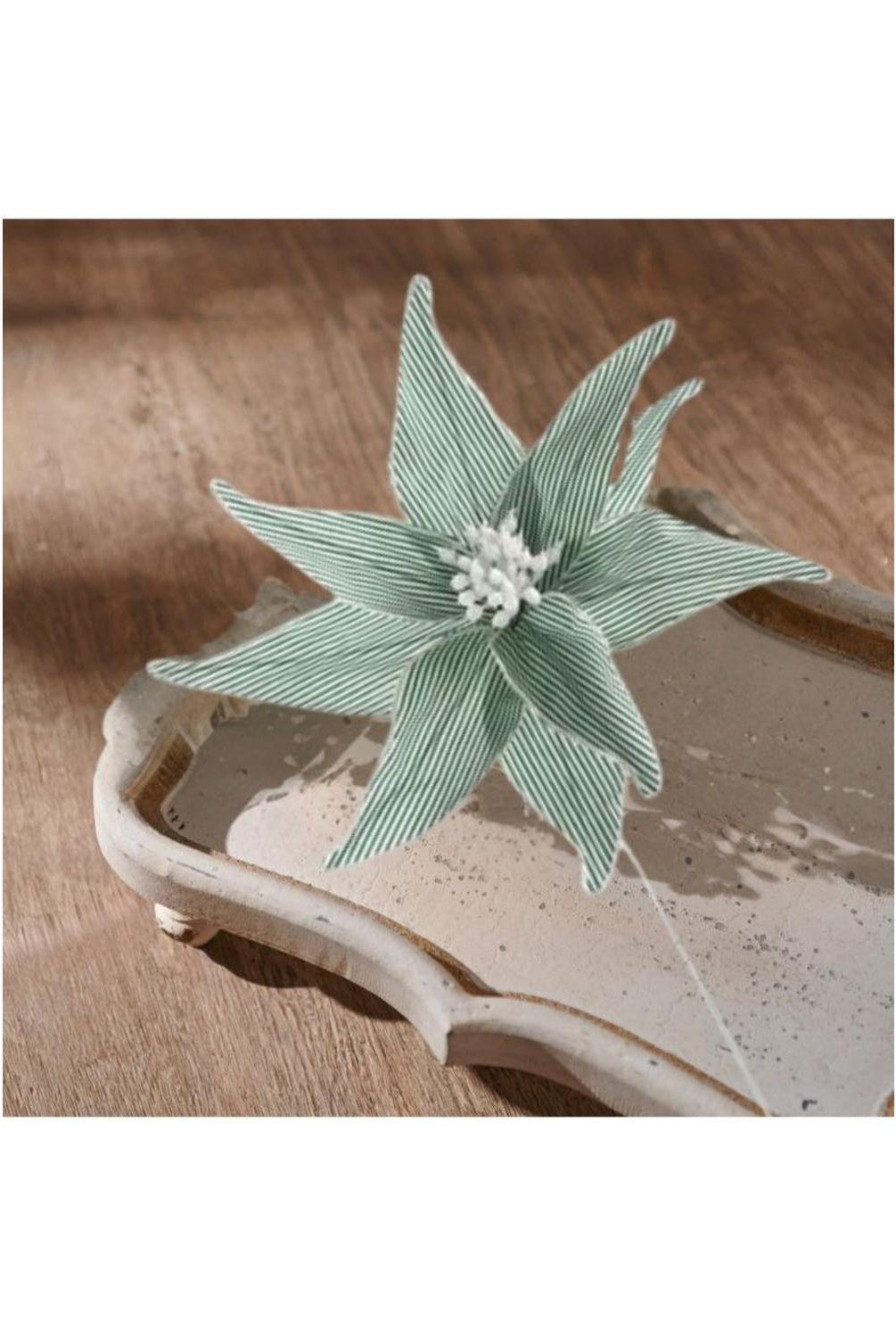 20" Canvas Striped Poinsettia: Dark Green