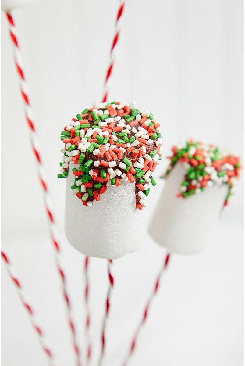 Shop For 20" Chocolate Dipped Marshmallow Pick