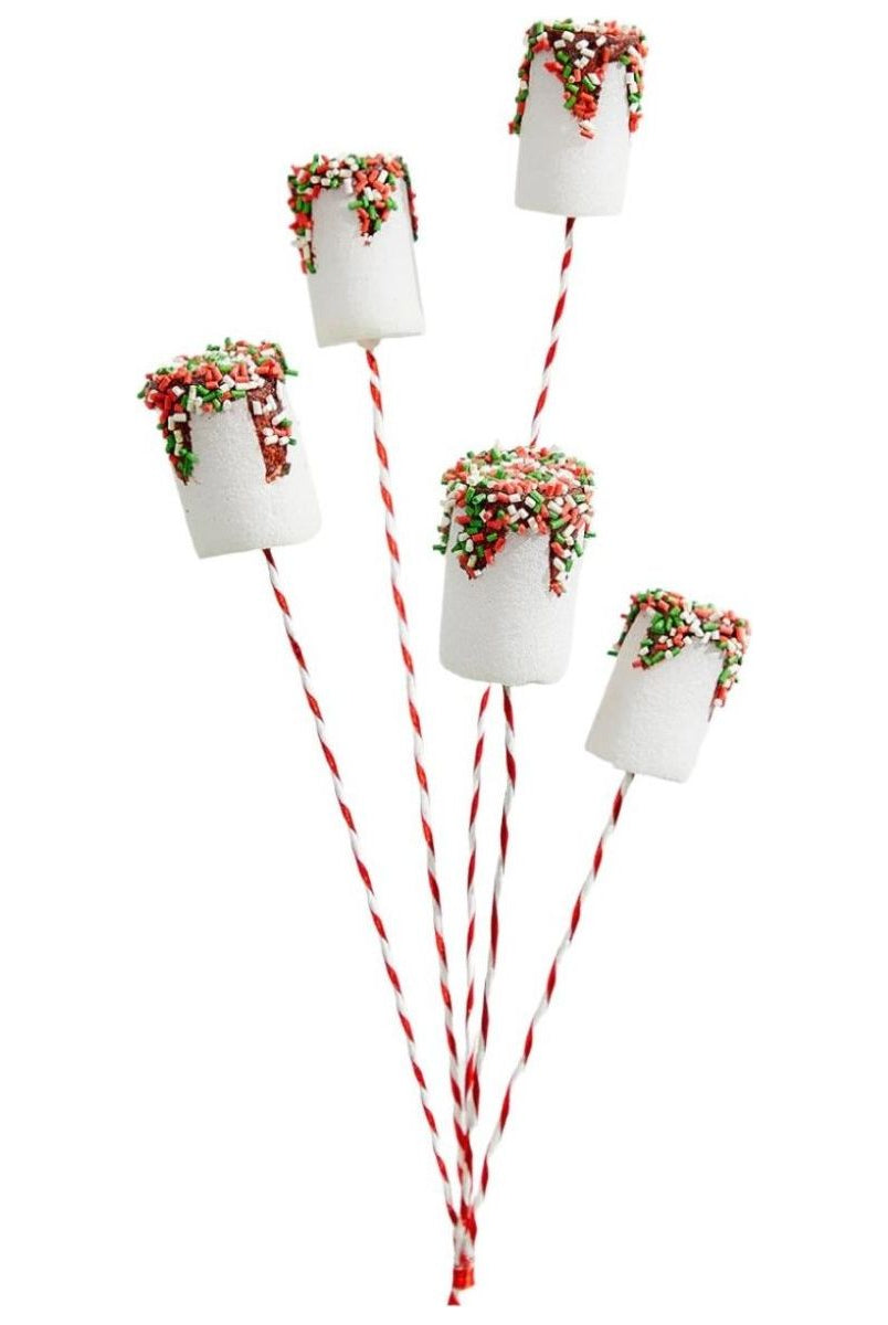 Shop For 20" Chocolate Dipped Marshmallow Pick