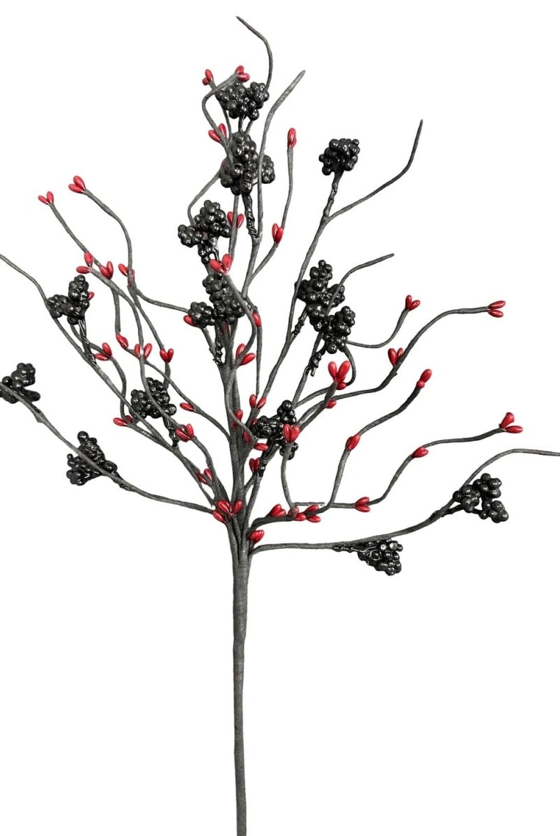 Shop For 20" Pip Berry Twig Spray