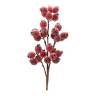Shop For 21" Iced Burgundy Berry Pod Spray