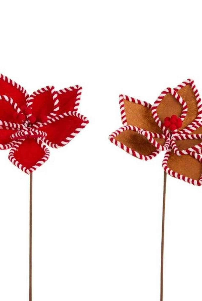 Shop For 21in Gingerbread and Peppermint Poinsettias