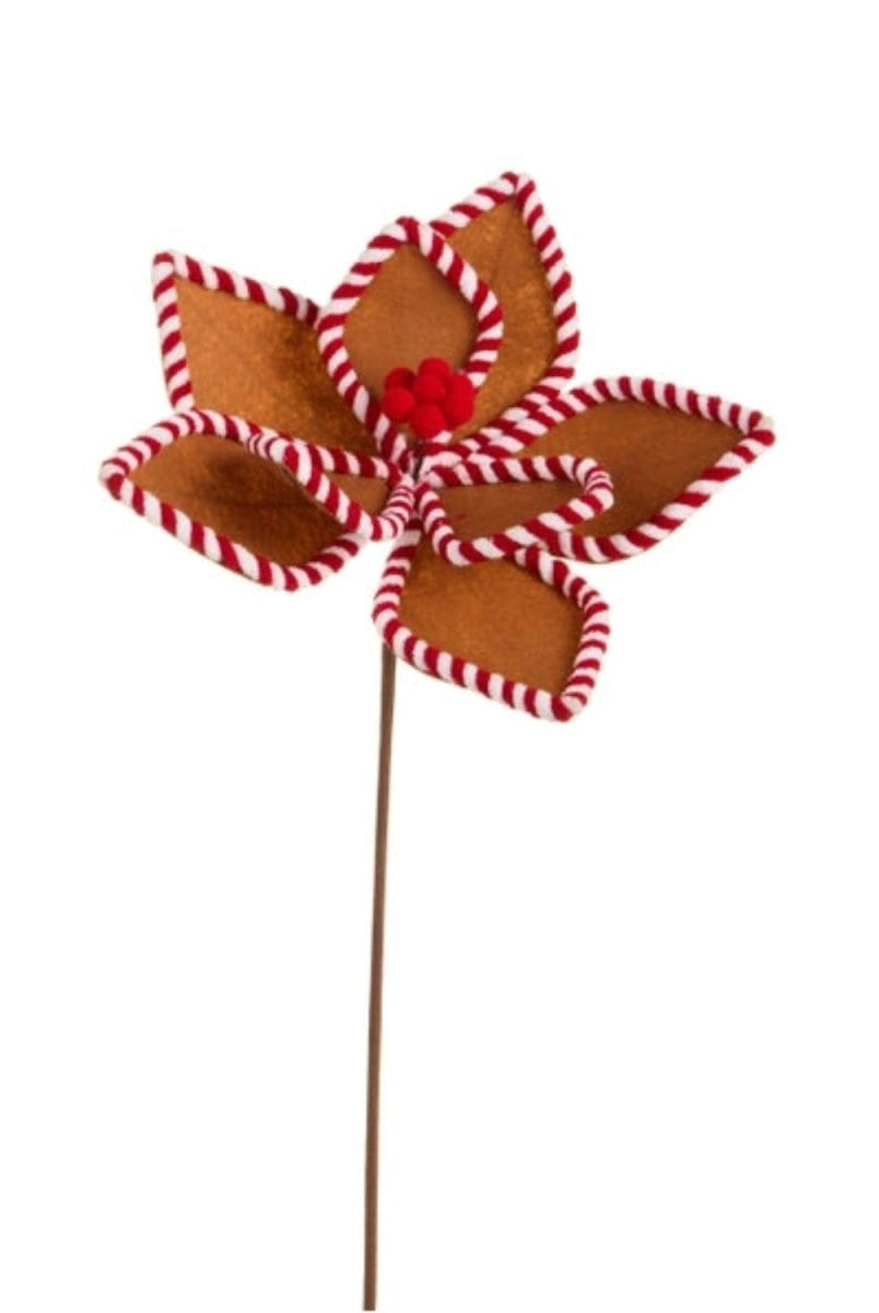 Shop For 21in Gingerbread and Peppermint Poinsettias