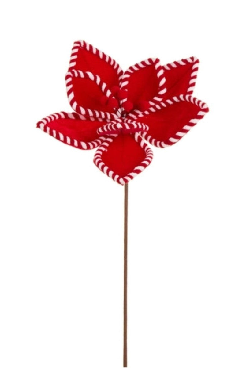 Shop For 21in Gingerbread and Peppermint Poinsettias