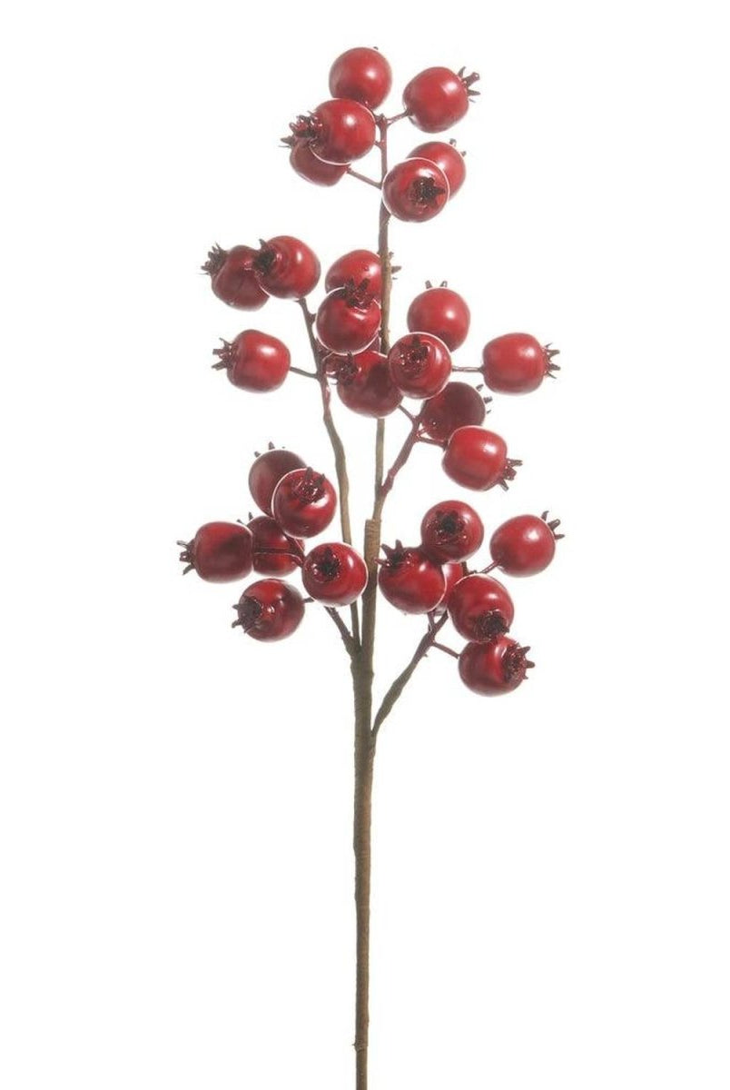 Shop For 21in Matte Red Berry Pod Spray
