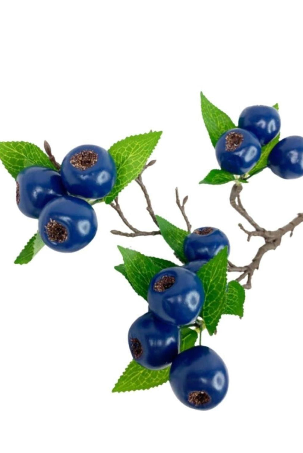 23" Blueberry Spray