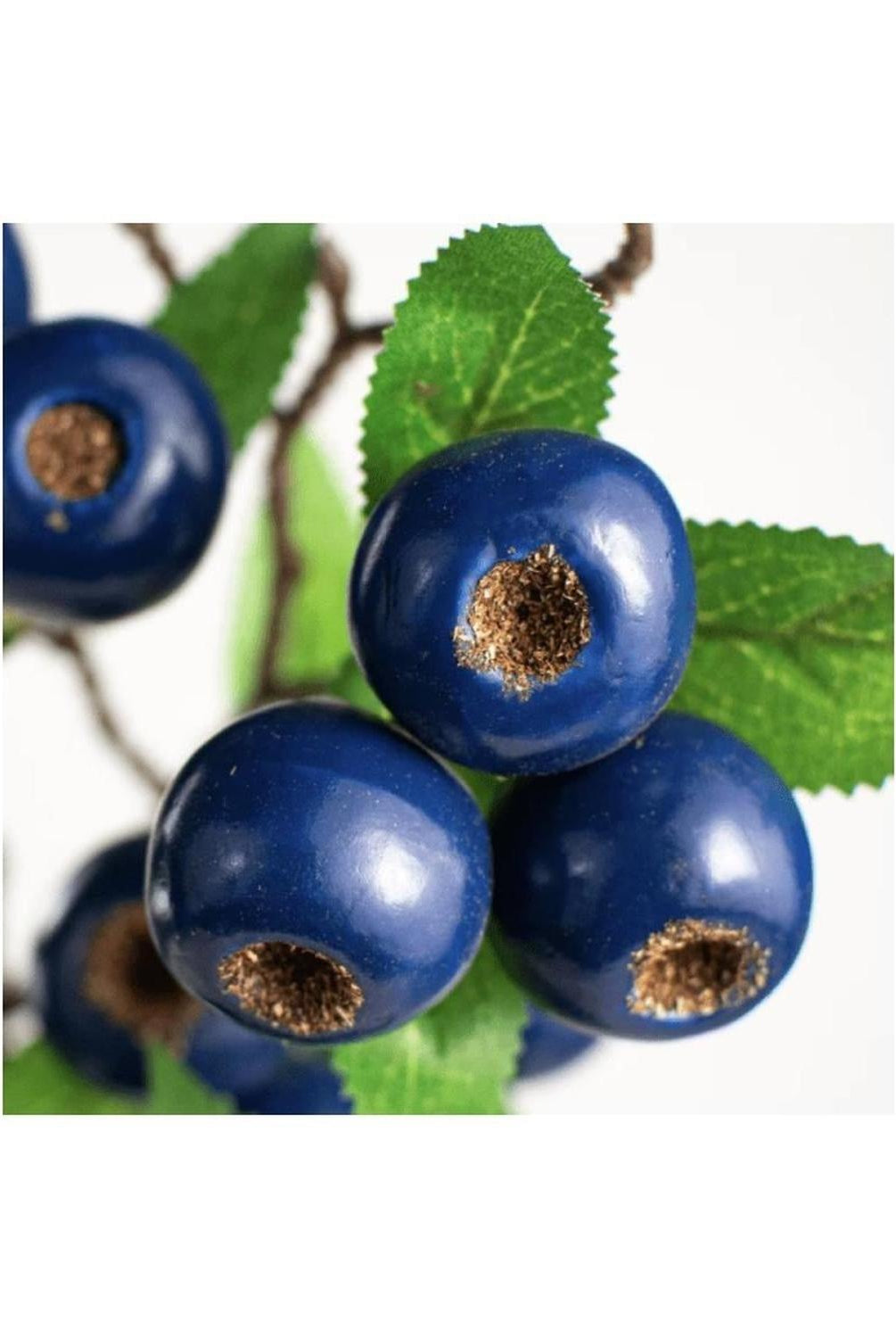 23" Blueberry Spray