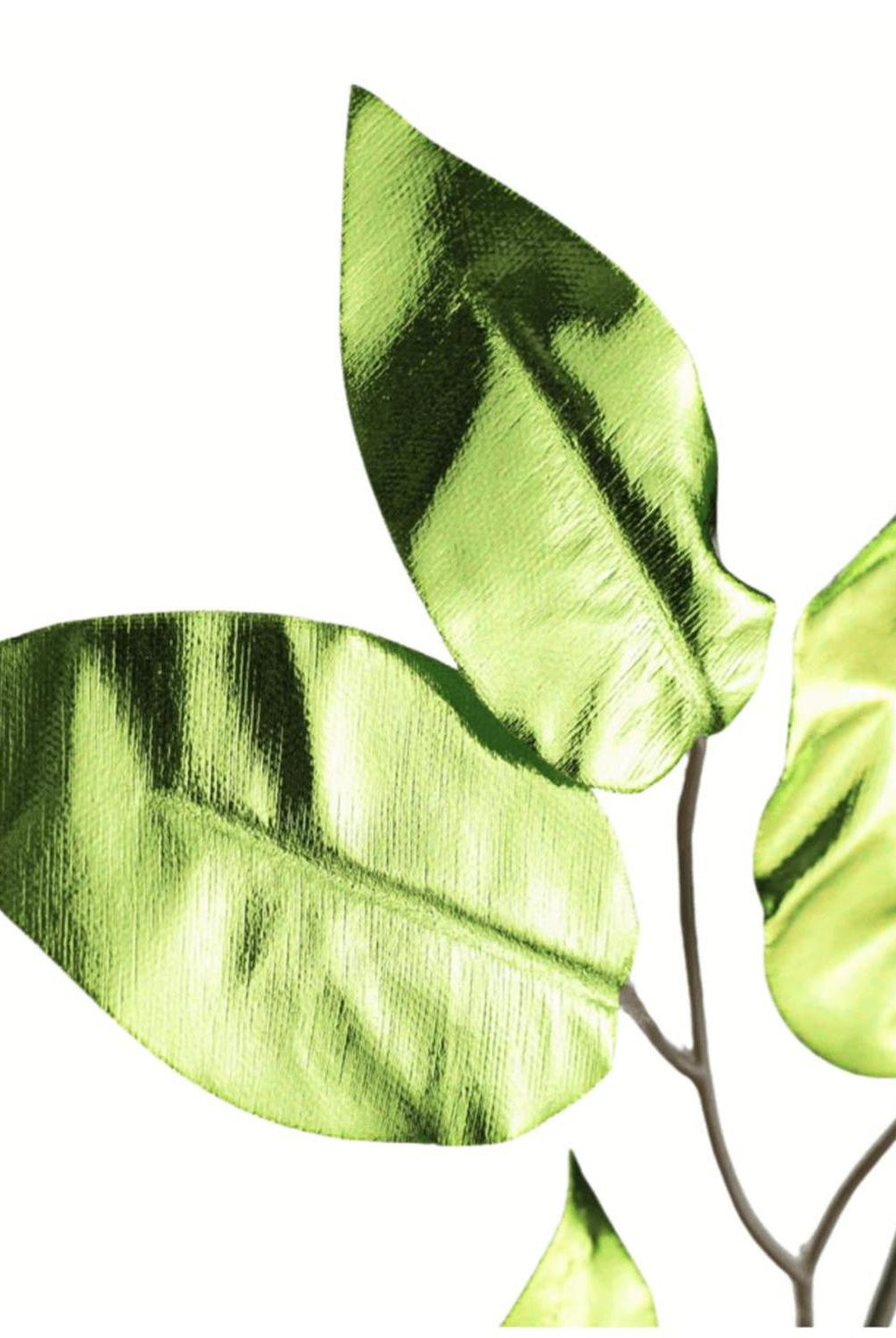 23" Metallic Ficus Leaf Spray: Lime Green (Set of 12)