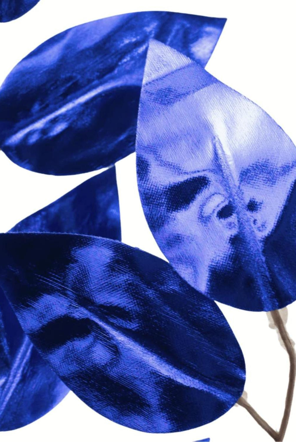 23" Metallic Ficus Leaf Spray: Royal Blue (Set of 12)