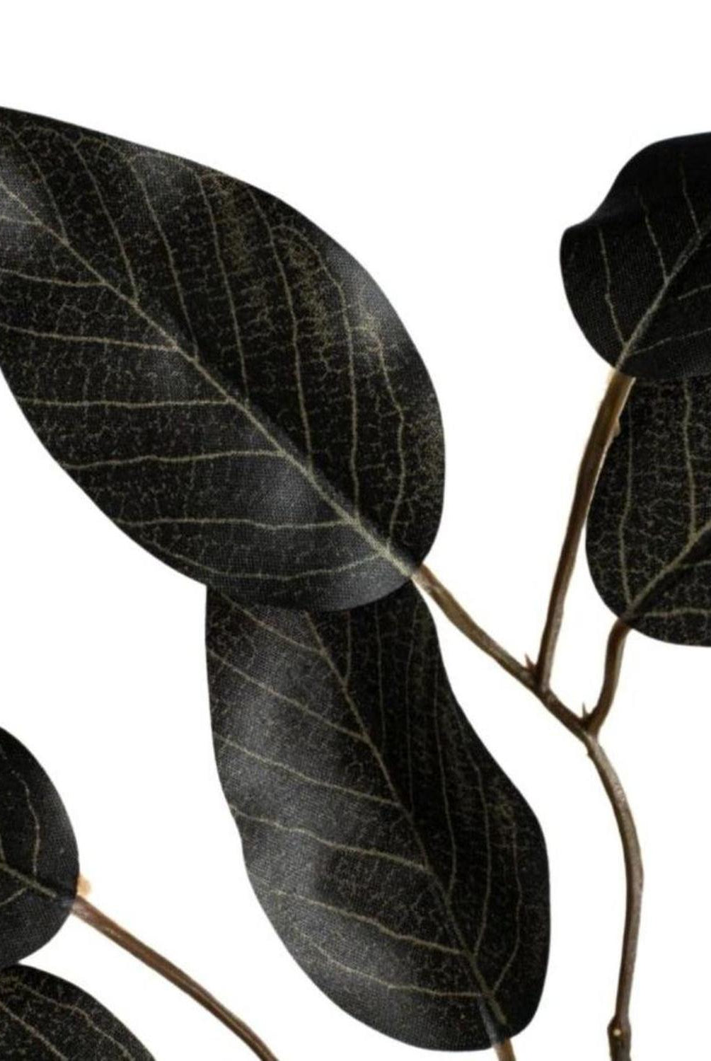 23" Silk Ficus Spray: Black (Set of 12)
