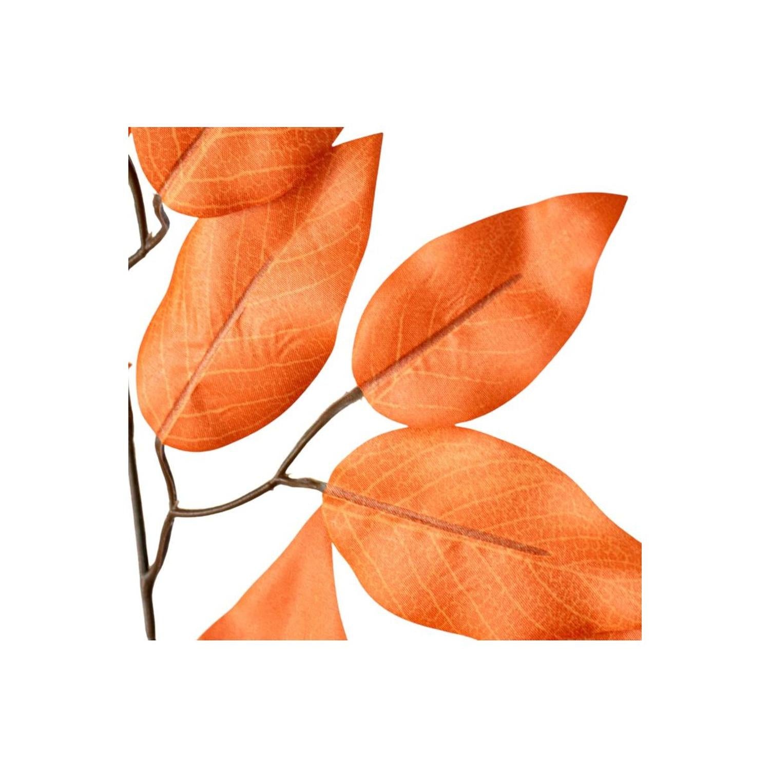 23" Silk Ficus Spray: Burnt Orange (Set of 12)