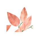 Shop For 23" Silk Ficus Spray: Coral (Set of 12)