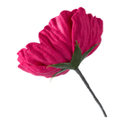 Shop For 24" Eyeball Flower Spray: Pink