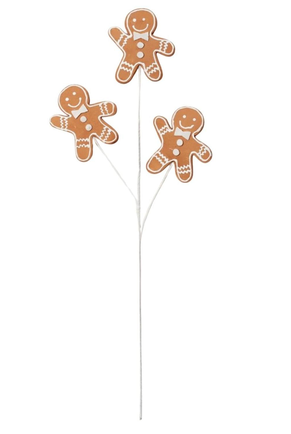 24" Gingerbread Cookie Spray