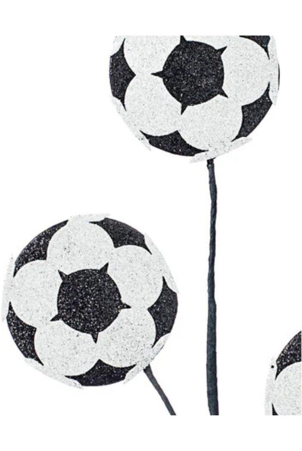 24" Glitter Soccer Ball Spray