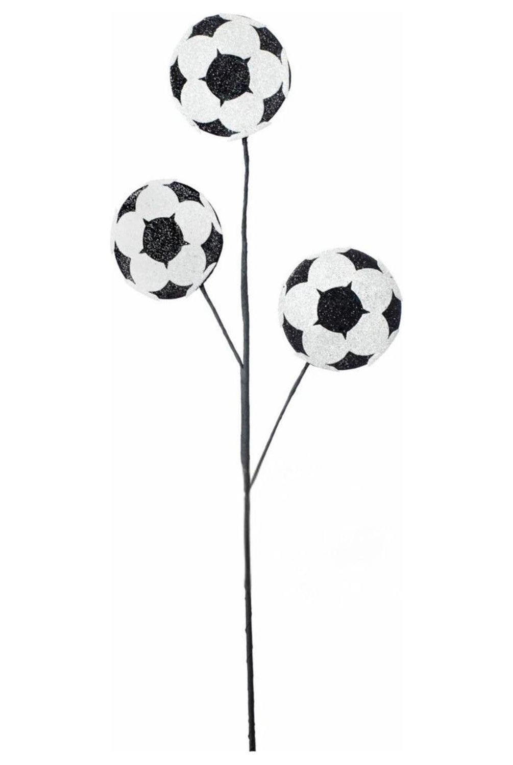 24" Glitter Soccer Ball Spray