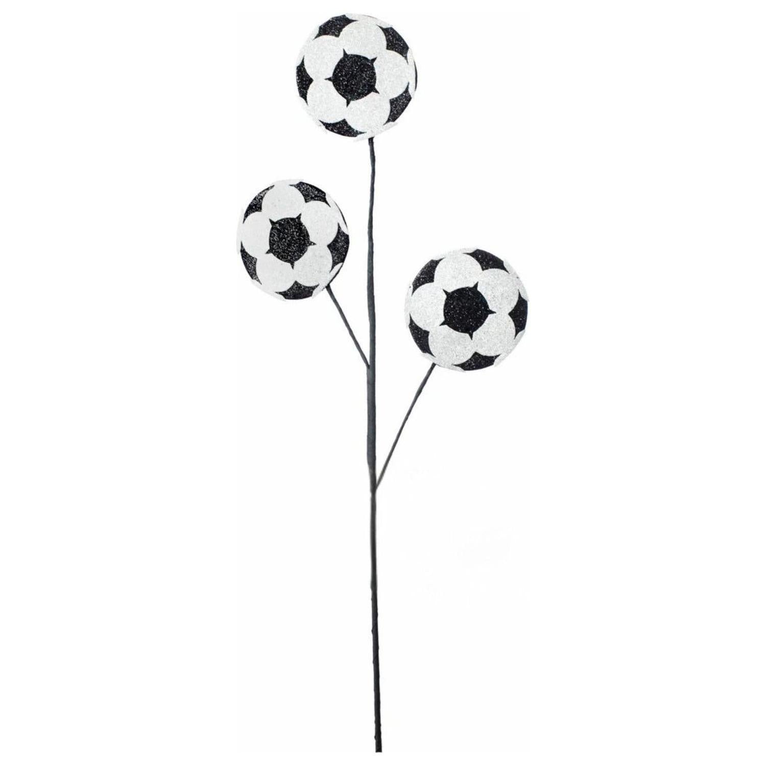 24" Glitter Soccer Ball Spray