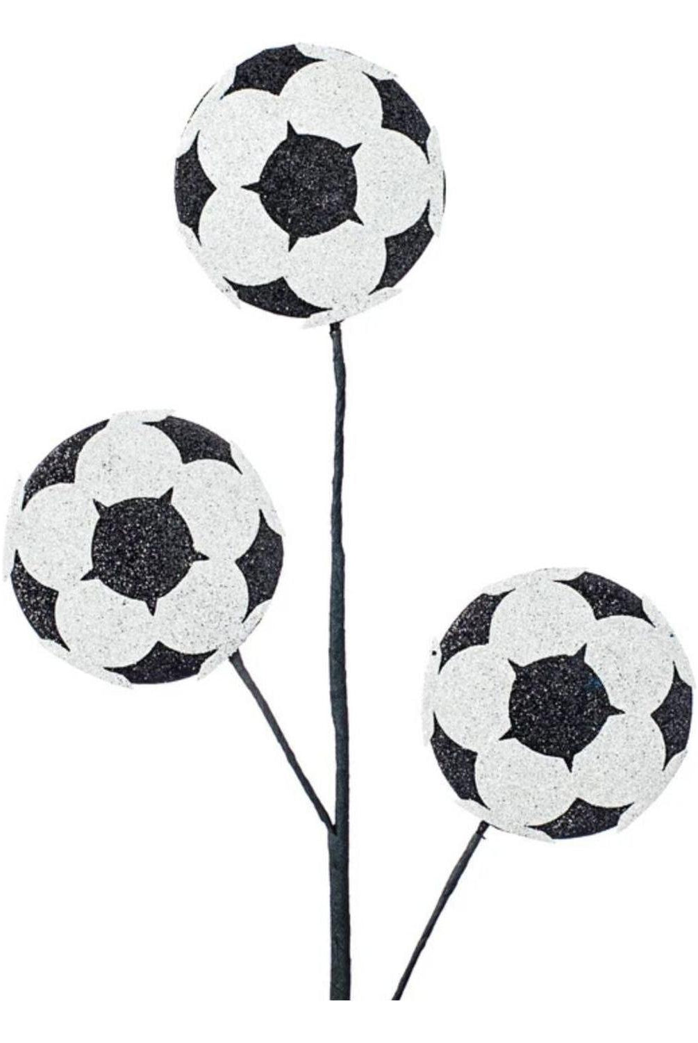 24" Glitter Soccer Ball Spray
