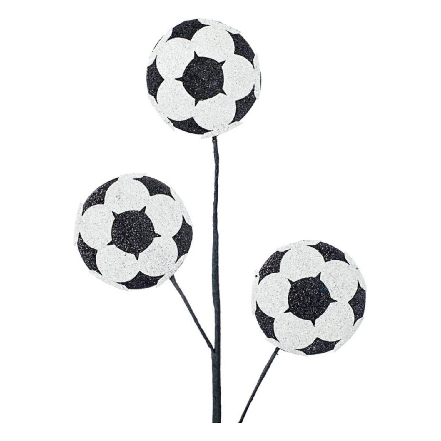 24" Glitter Soccer Ball Spray