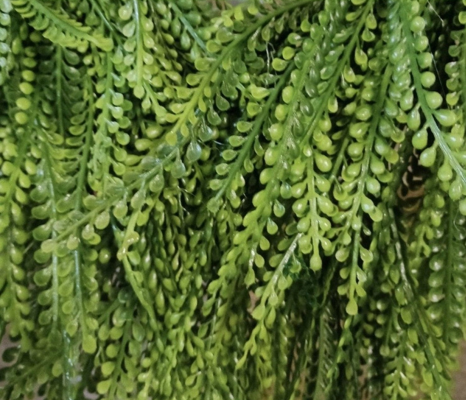 Shop For 24" Round Bead Grass Wreath