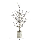 Shop For 24” Snowed Twig Artificial Christmas Tree in Decorative Planter