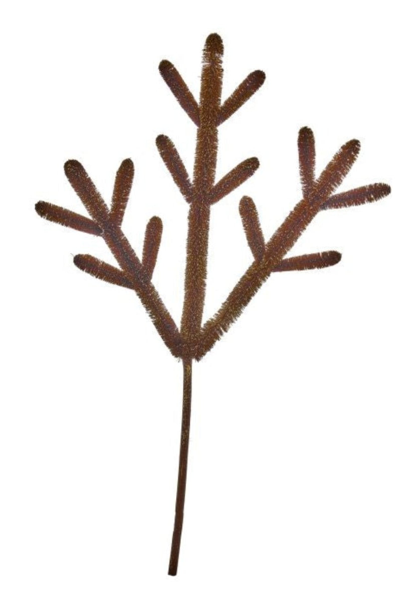 Shop For 24in Fiber Brown Antler Spray