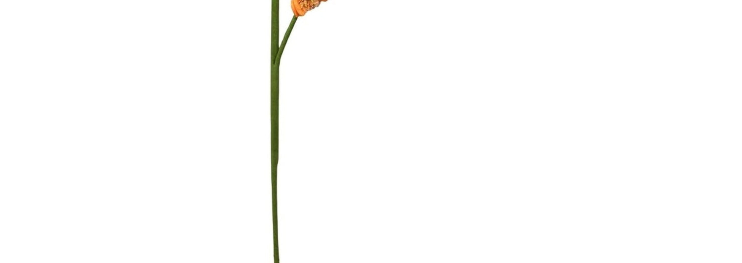 24in Frizzy Carrot Spray